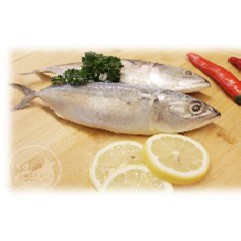 

IKAN KEMBUNG 1 KG, RAS FOOD PREMIUM JATIASIH