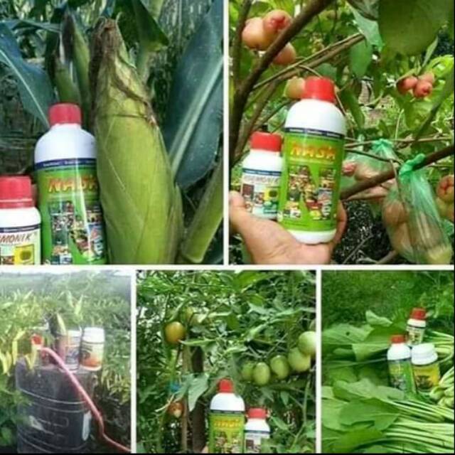 Hormonik dan poc nasa