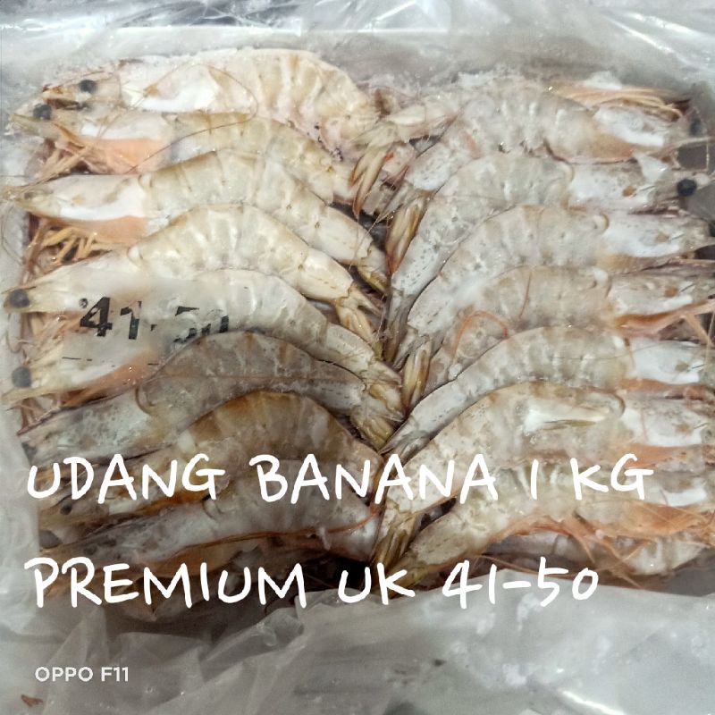 

Udang Banana 1 Kg / Udang Jerbung 1 Kg