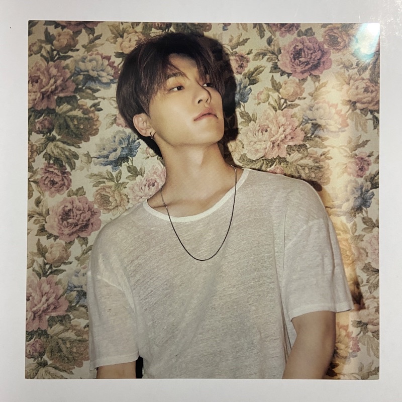 SEVENTEEN DINO Attacca Layered Card