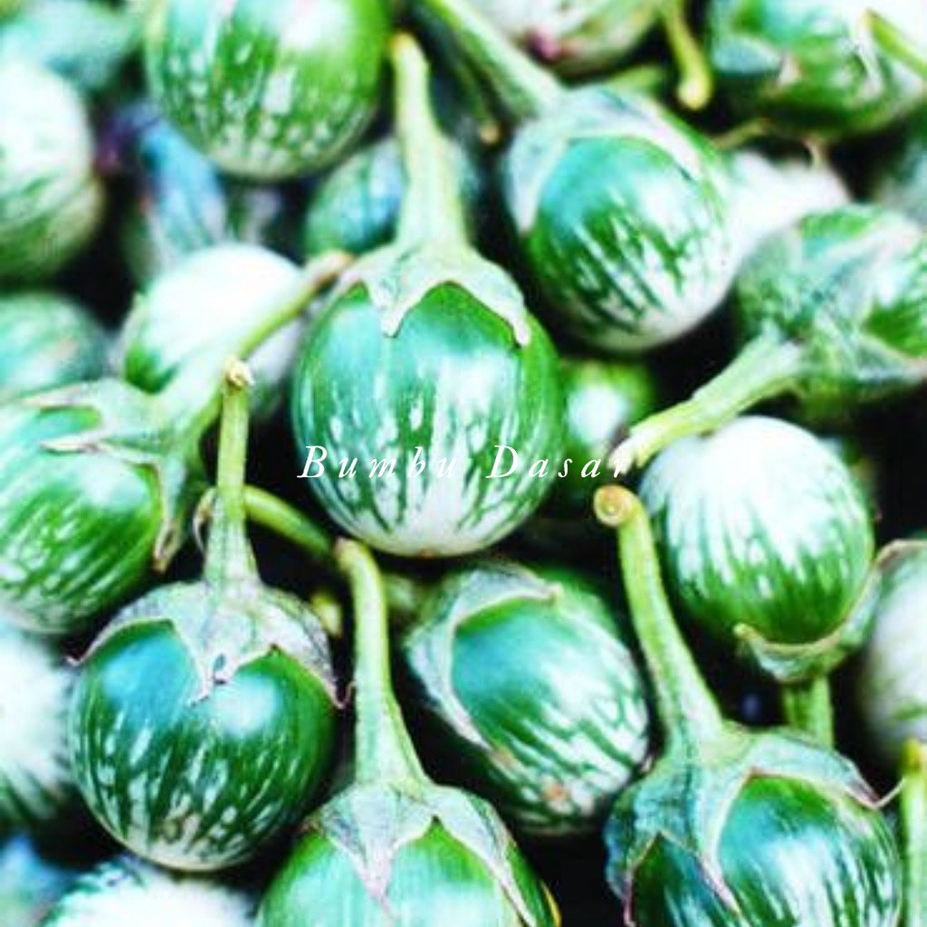

Bumbu Dasar - Terong Bulat Hijau 200 Gr