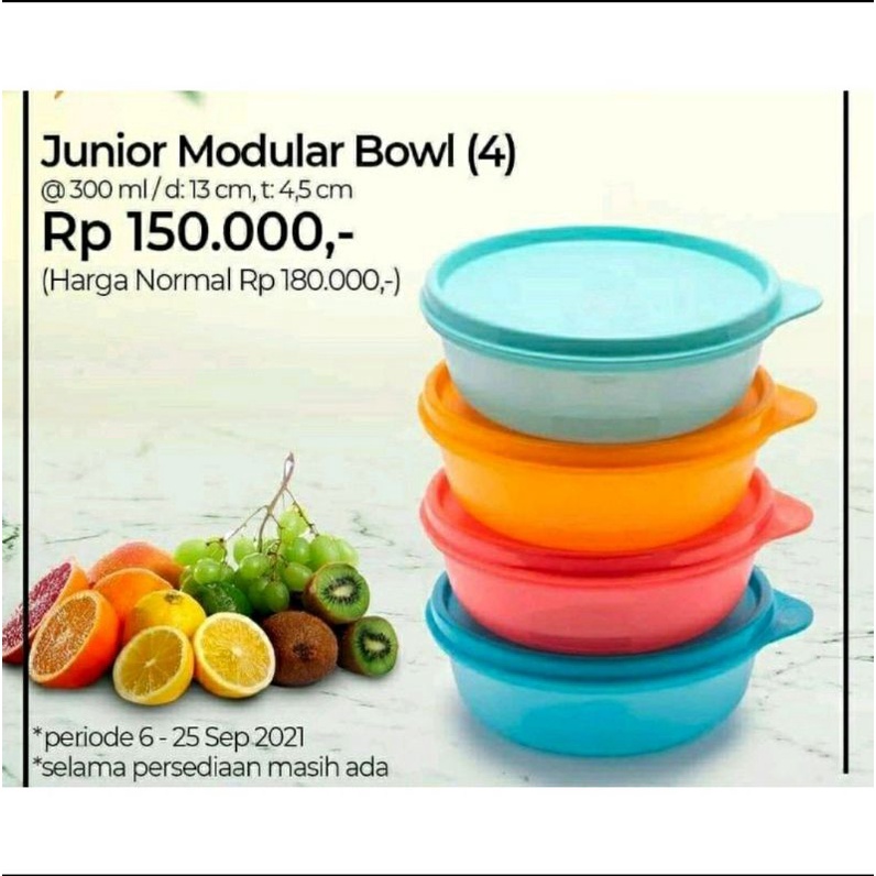 FREE ONGKIR  | COD | ECER Junior Modular Bowl 300 ml | Tupperware