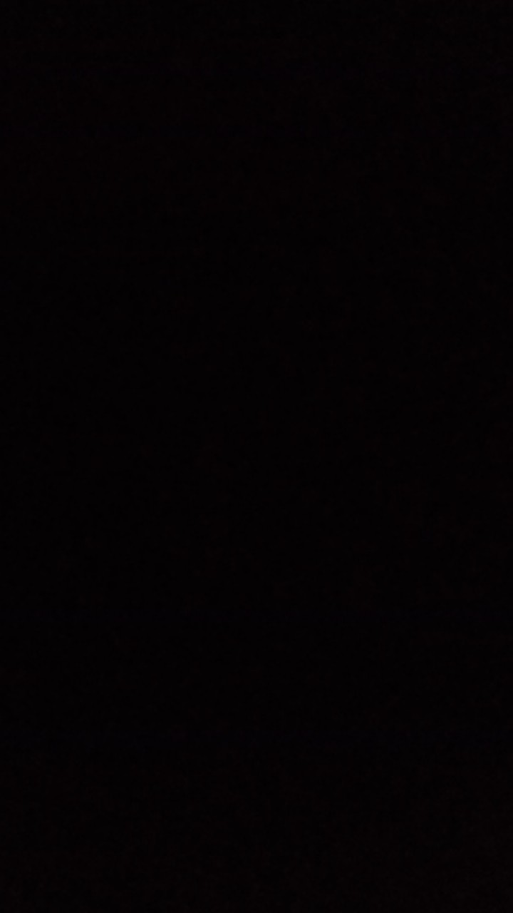 100 Lembar Daun Bambu Bungkus Bacang Bakcang