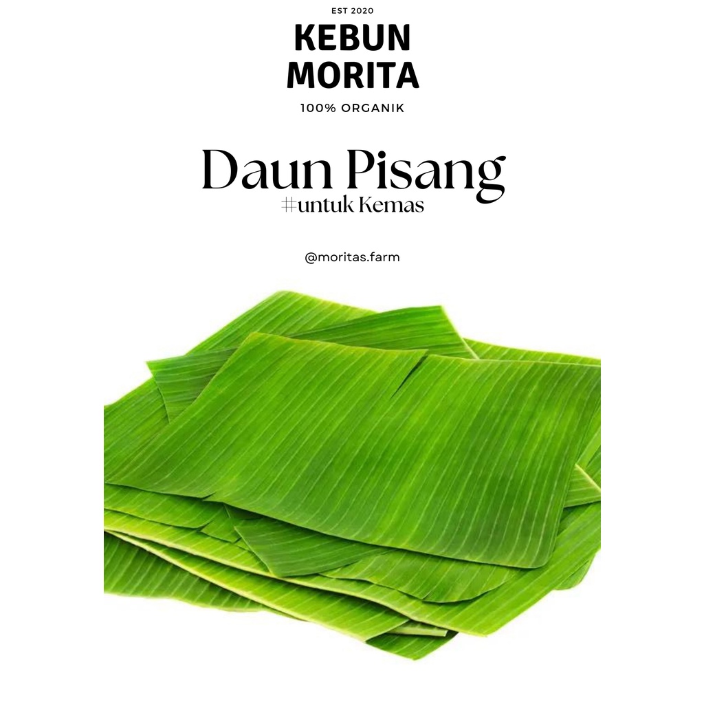 

Daun Pisang khusus Bungkus