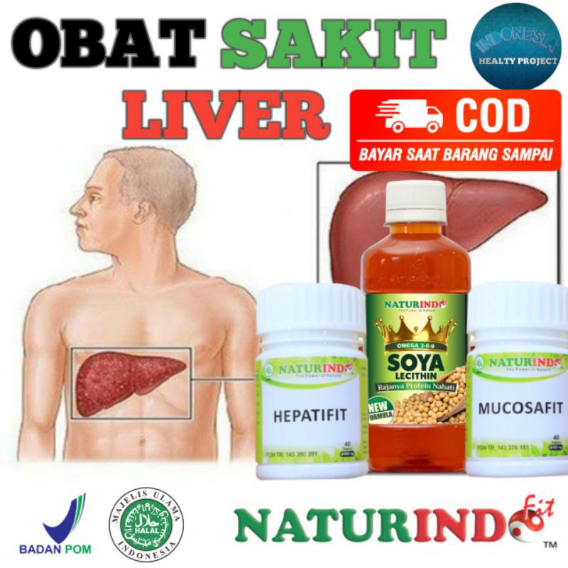 Herbal Obat Liver Obat Hati Obat Insomnia Ampuh HEPATIFIT Naturindo