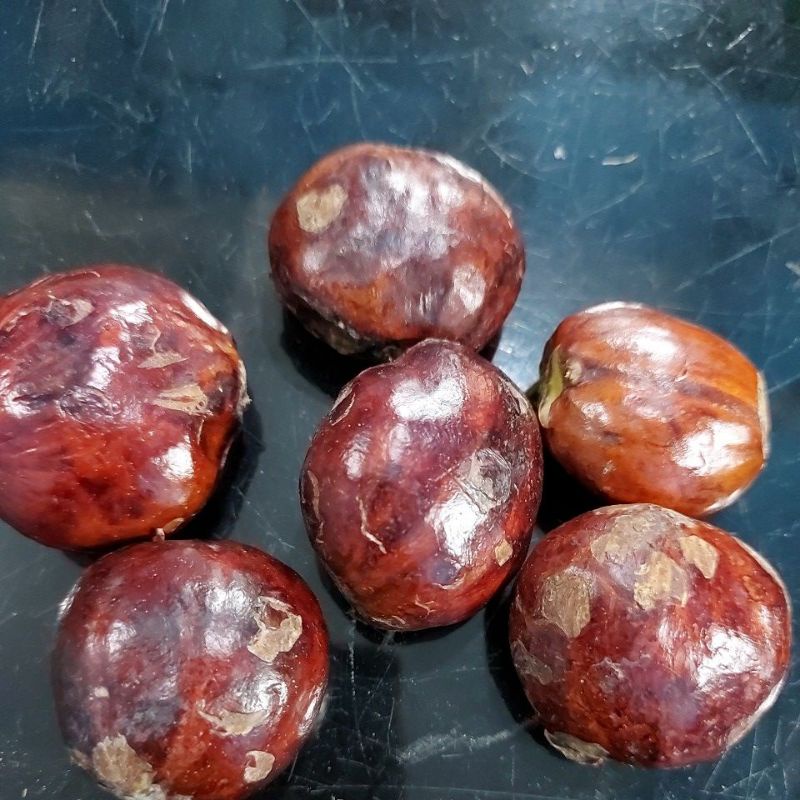 

RB JENGKOL FULL TUA PILIHAN 1KG