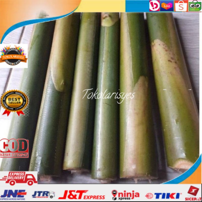 

BATANG KECOMBRANG 1KG