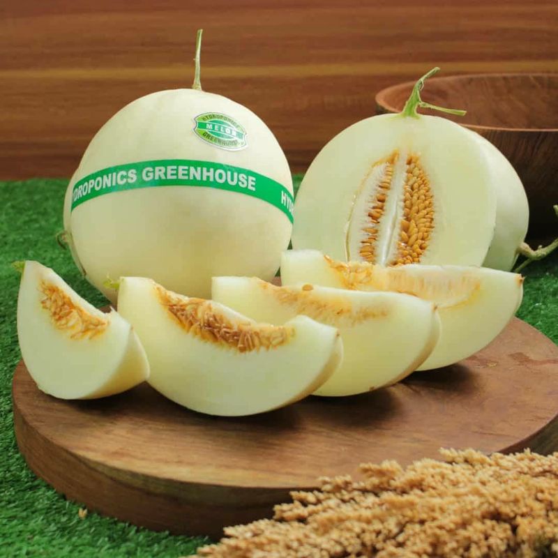 Jual 5 Biji Benih Melon Madu Atau Honeydew Shopee Indonesia 