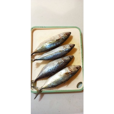 

ikan kembung banjar segar