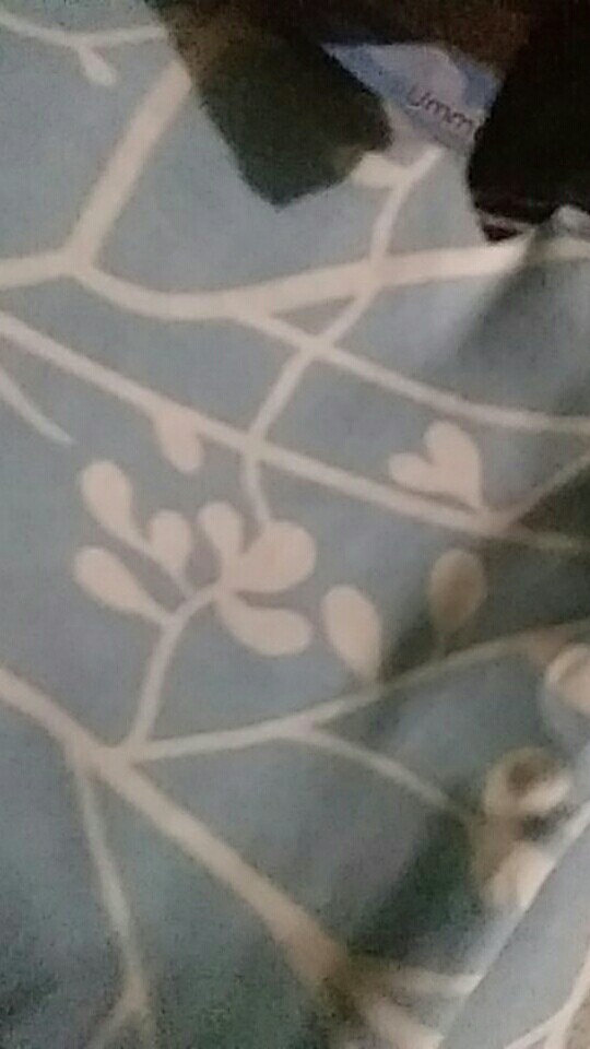 Bahan Kain Sprei Meteran Katun Lokal Cvc Star Motif Jeju Memory