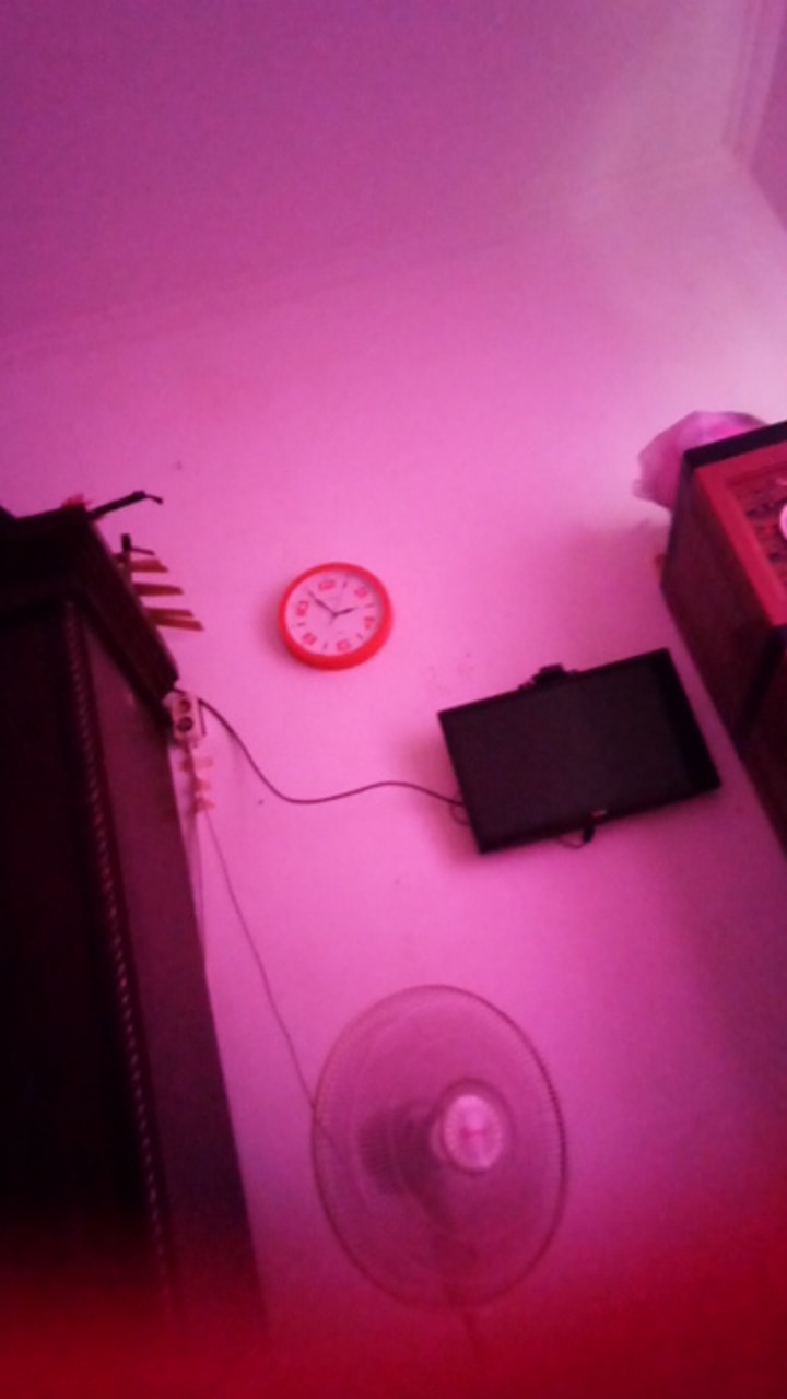 Batu Pembersih Kulit Mati &daki / Batu Asli Batu Kali