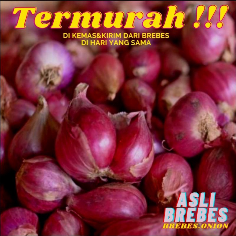 BAWANG MERAH BREBES