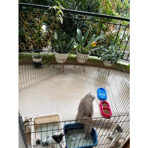 KANDANG PAGAR 90x60 JUMBO kandang hewan besi anjing kucing kelinci-2