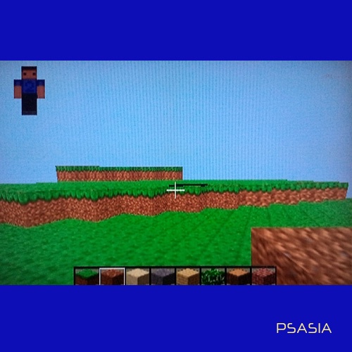 MINECRAFT PS 2