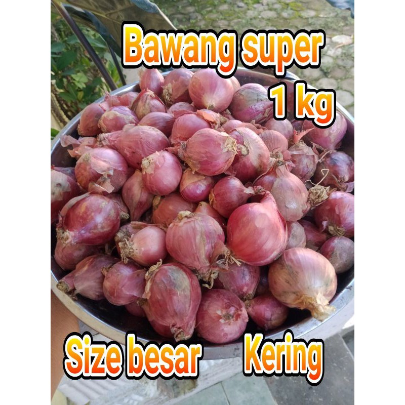 

Bawang merah LOKAL