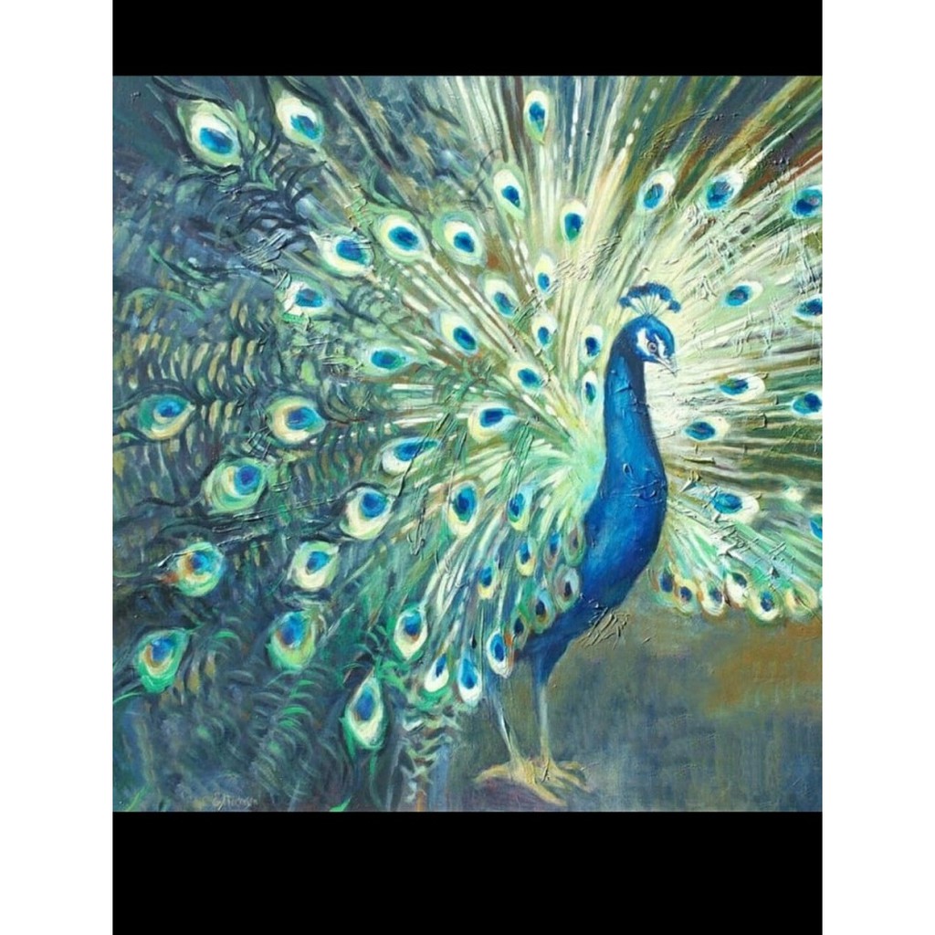 880 Gambar Burung Merak Asli HD Terbaik