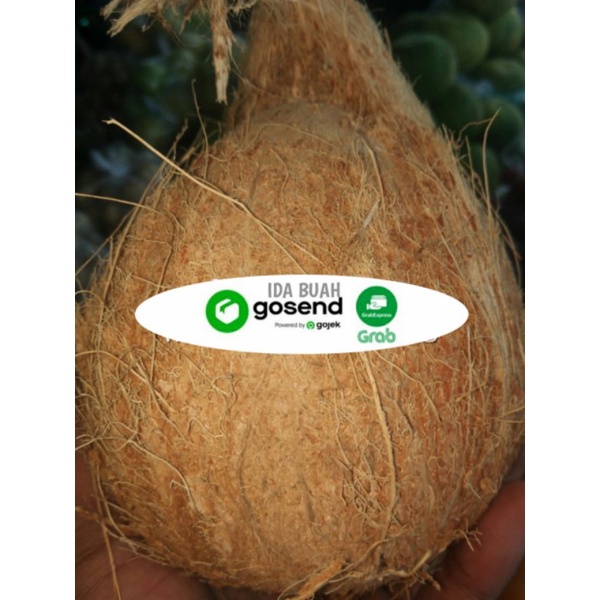 

KELAPA KOPYOR