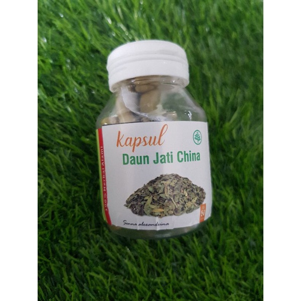 Kapsul Daun jati cina pelangsing herbal suplemen kesehatan kapsul perut buncit langsing 50 kapsul, Kapsul Herbal JATI CINA 600mg Pelangsing Metabolisme Kapsul Herbal DAUN JATI CINA (Cassia Angustifolia)