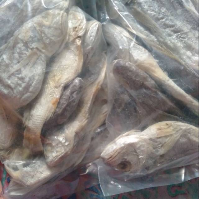 

Ikan asin kepala batu