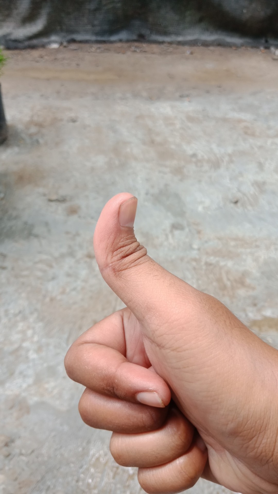 Batik Couple Sarimbit Baju Batik (batik Wanita Batik Pria) Kemeja Tunik Batik Katun M L Xl Xxl