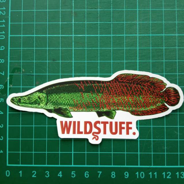 Sticker Wildstuff - Arapaima gigas pirarucu