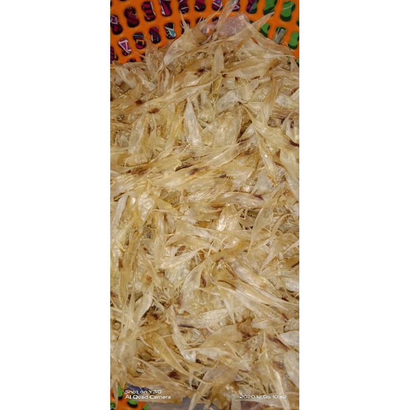

Lampung Ikan Gulama(Samge) kecil