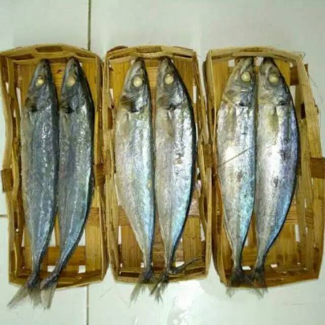 

Puri Segar Shop, IKAN CUE KERANJANG 1 KERANJANG ISI 2. (ORDERAN PAGI HARI)