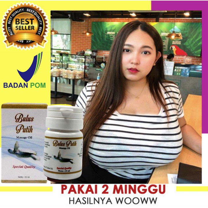 Pengencang dan Pembesar Payu_dara, Mr. P dll MINYAK BULUS PUTIH ASLI 100% BPOM Minyak bulus asli bpom Minyak bulus putih asli pembesar payudara Minyak bulus pembesar payudara original bpom pengencang payudara cepat obat pembesar payudara permanen