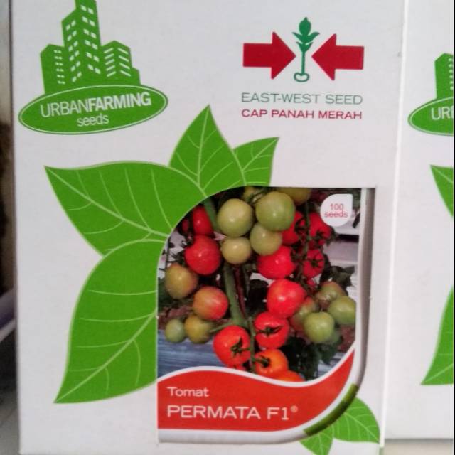 Benih Bibit Tomat PERMATA F1®