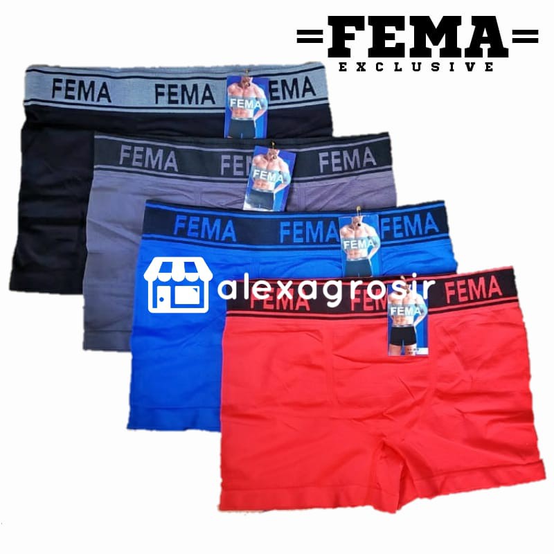 CELANA DALAM PRIA BOXER WARNA FM NK SPORT