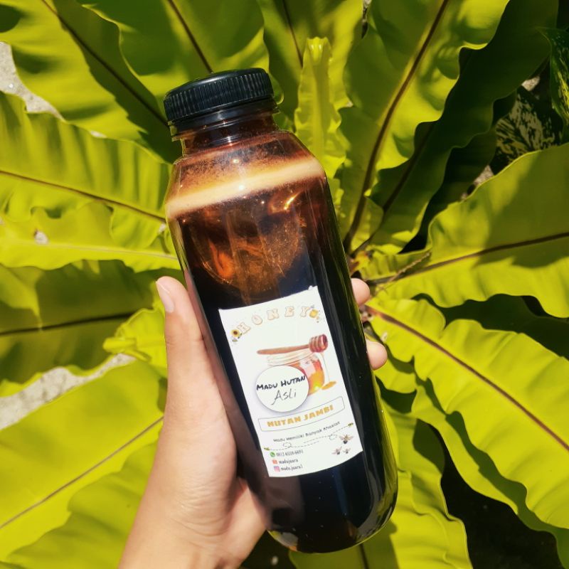 

Madu Hutan Murni Asli 500 ml Madu Liar Asli 100 % Madu Jambi Sumatera Akasia Madu Hutan Original