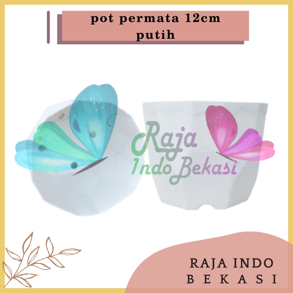 Pot Permata 12 Putih Da 10.5cm Garden Of Love Pot Kaktus Sukulen Mini Murah Bkn Pot Tawon 10 12