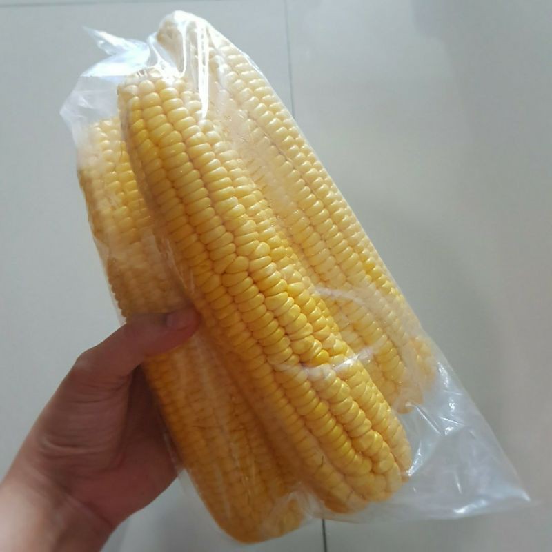 

jagung