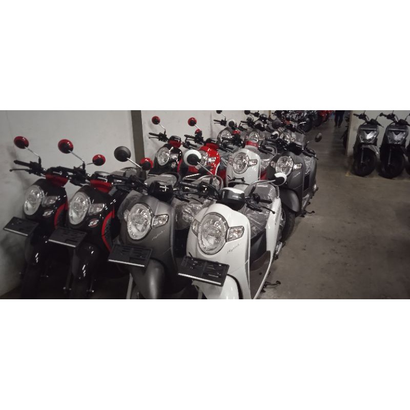 honda scoopy sporty & scoopy staylish