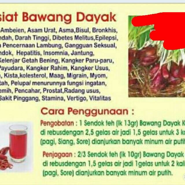 

Bawang dayak/bawang hutan