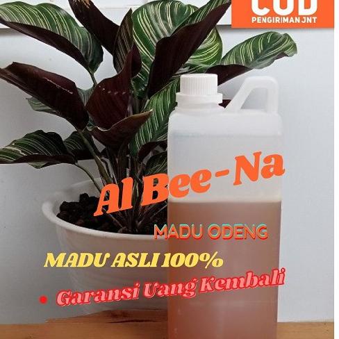 

MADU ODENG MADU HUTAN MURNI ASLI 1KG