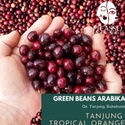 

[ COD ] Arabica Green Beans | Tanjung Tropical Orange (Fullwash) TERBARU Kode 798