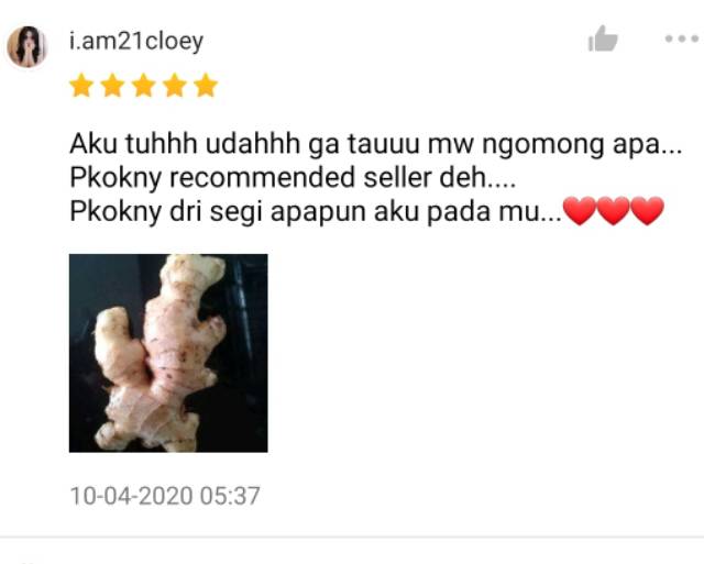 KIRIM INSTAN Jahe Putih 200gr