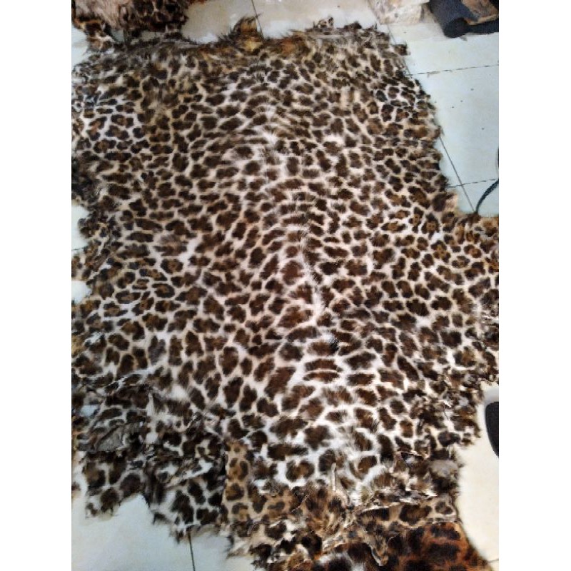 kulit kambing bulu macan Tiger harimau lembaran