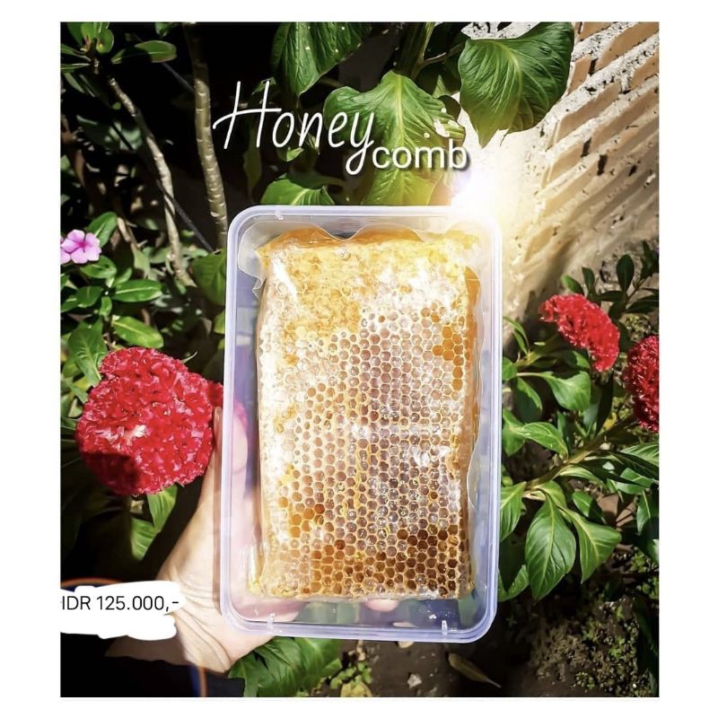 

MADU SARANG MALIFERA/ MADU SARANG PILIHAN GRADE A/ 500gr