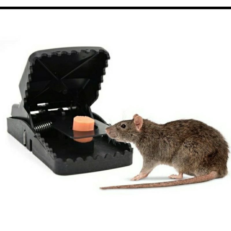 perangkap tikus jebakan tikus jepit otomatis