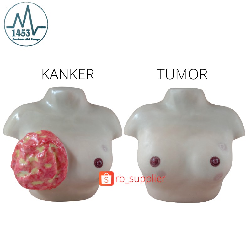 MANIKIN KANKER-TUMOR PAYUDARA/PHANTOM TORSO MANEKIN TUMOR PAYUDARA/ALAT PERAGA KANKER PAYUDARA