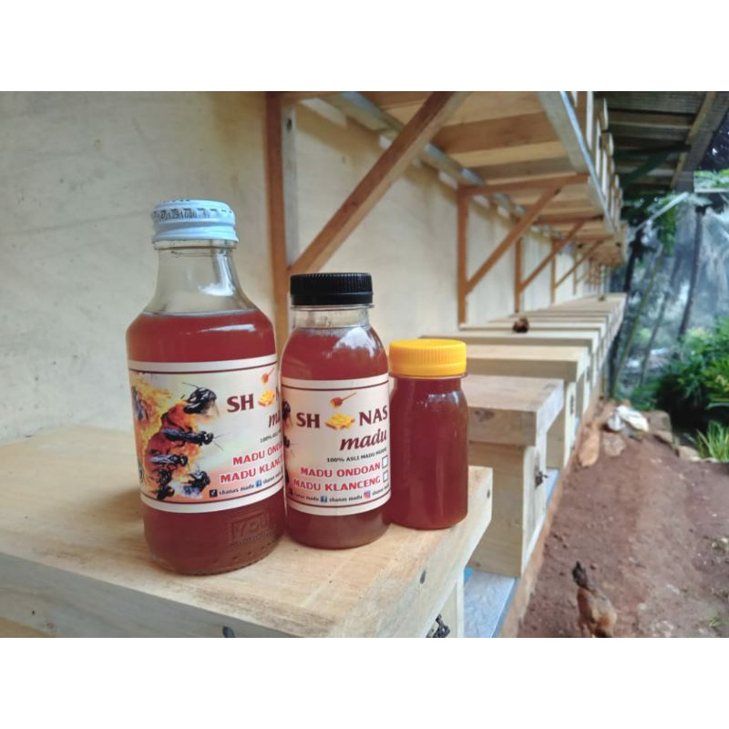 

Madu Klanceng Murni 100% (SHANAS)