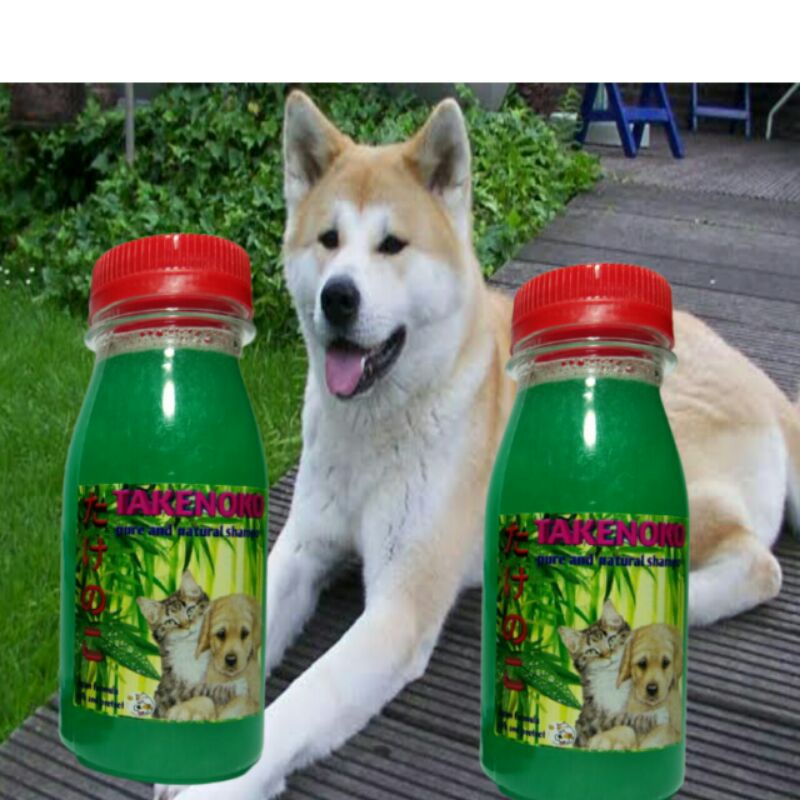 ‌SHAMPO COMBO 3 BOTOL,  hewan kuning cat sampo untuk kucing anjing sampoo anti kutu jamur tick and flea rontok Angora anggora sampho  mixdome bengal murah terlaris natural obat.