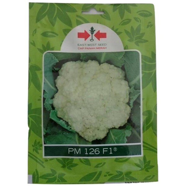 Benih Bibit Bunga Kembang Kol PM 126 F1 250 Biji Panah Merah Sayuran