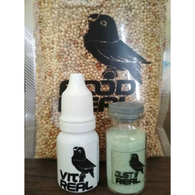 DOPING lovebird REAL