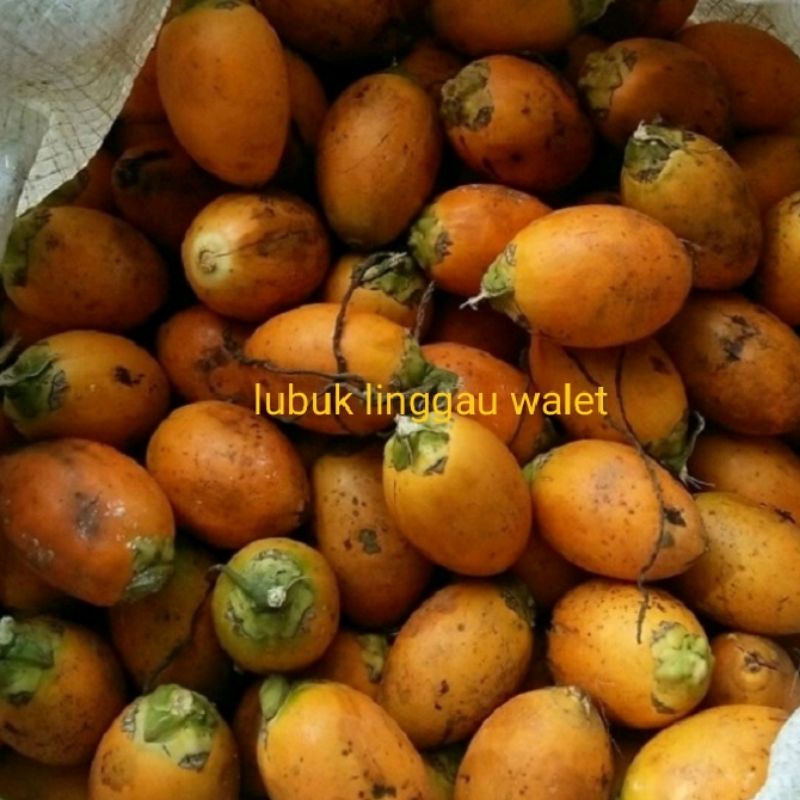 

pinang tua harga tertera untuk 1kg