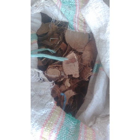 

batok kelapa palembang