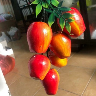 Gantungan Dinding Buah Mitasi (kayu)