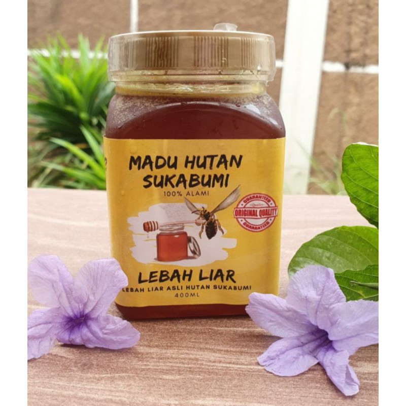 

MADU HUTAN SUKABUMI - LEBAH LIAR